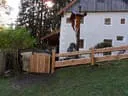 SDC17505