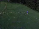 dji_9010