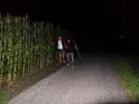 SDC14997